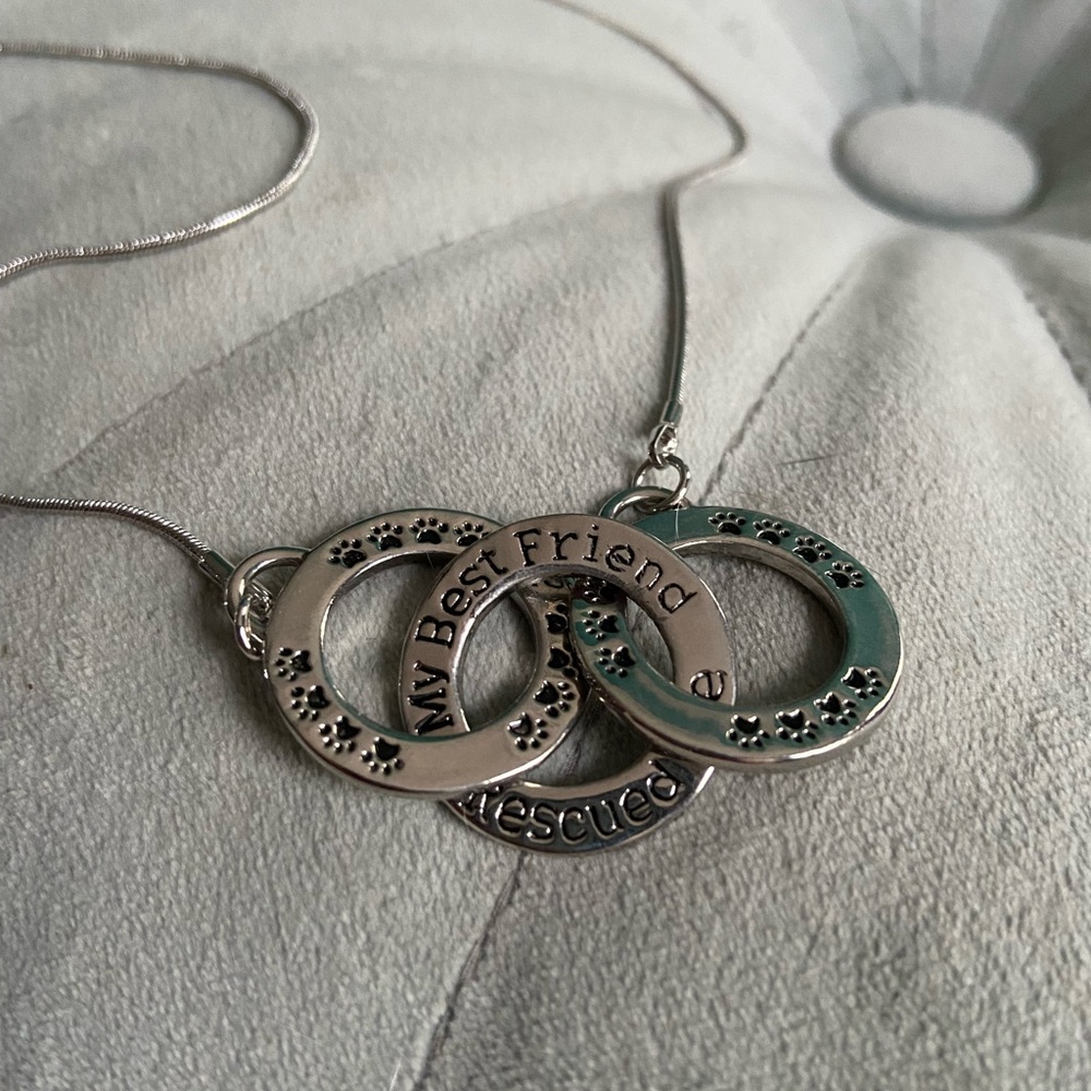 Silver Pet Lover necklace with 16” rolled silver chain